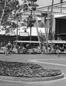 Disneyland Hotel grounds vintage photo 6